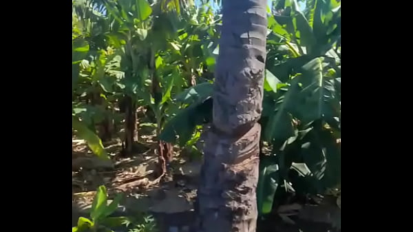 Play MP4 - Mi suegra y yo nos quedamos solos en casa y paso esto