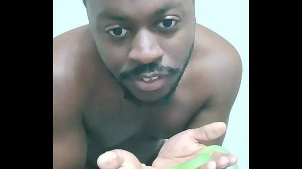 Scorpio zodiac animals that are green like a leaf 2 