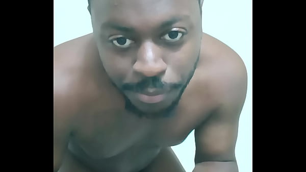 Scorpio zodiac animals that are green like a leaf 2 