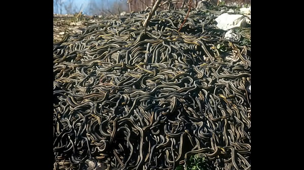 freegangstaboo type beat eye 2 eye