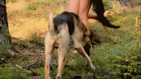 Play MP4 - Dark Lantern Entertainment presents 'Beauty And The Beast'