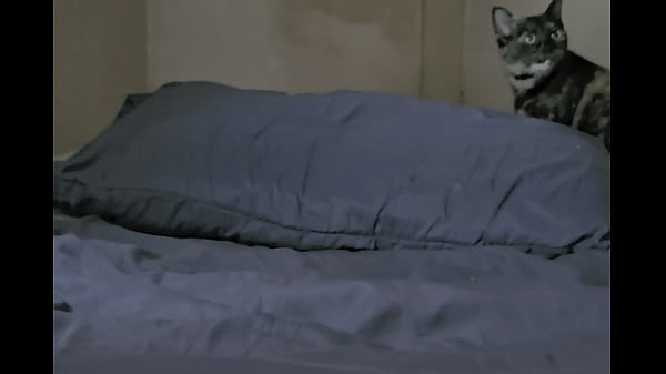 Sexy native milf with big ass rides cock with autumn sunshine 