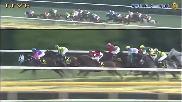 エリザベス女王杯 thumbnail