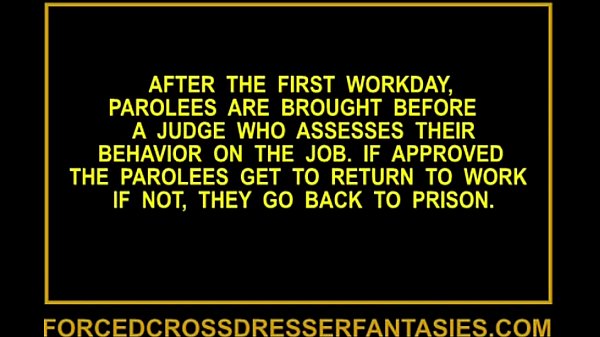 Sexy Sissy Crossdresser Court Feminization