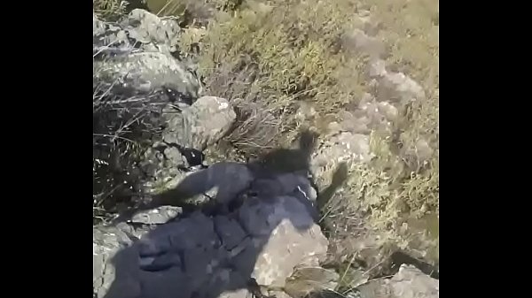 Play MP4 - 6942872233 if in greece&period;if not in greece 00306942872233