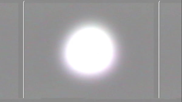 Eat your own cum suggestion implant module 