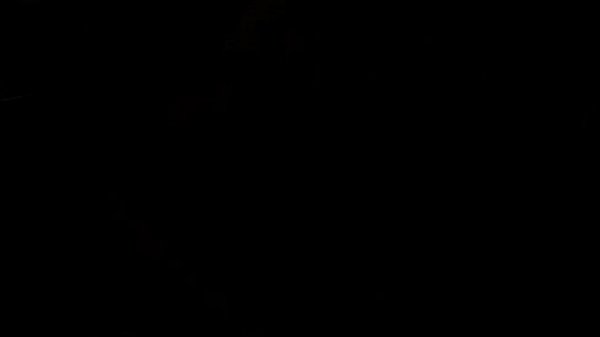 Nonton Three Sluts Sucking Strapon thumbnail