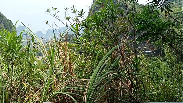 验证视频