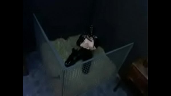 Catwoman está conel celoy sólopuede pensar enpollas