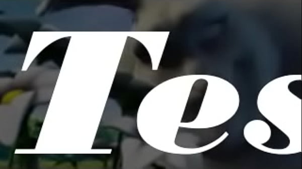 Samplevideo 360x240 2mb 