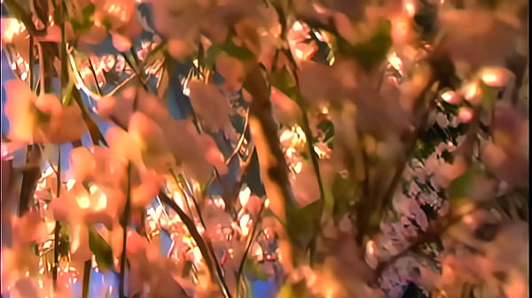 Nonton Brynn Tyler And Lexi Stone Are A Stylish Blonde And Sophisticated Brunette When They Sit... thumbnail