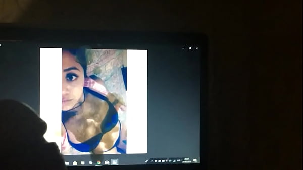 Tributo a Gatitaporty