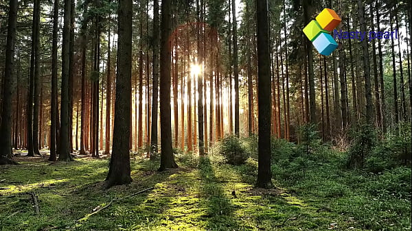 Nonton Sweet Cookie Get Hot Sex From The Back By Hot Bbc. Please Subscribe To Red/sheer thumbnail