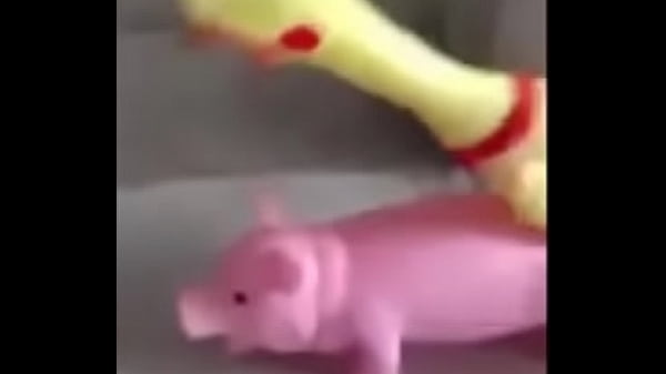 Play MP4 - A Peppa Pig CAIU NA NET &excl; Whatsapp Videos Engra&ccedil;ados 2015