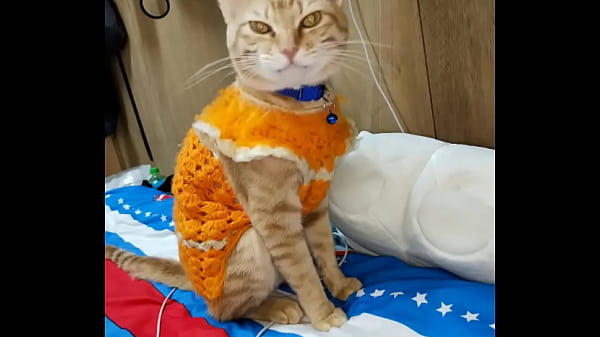 Nonton 验证视频 thumbnail