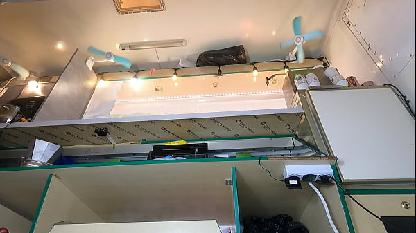 Stupid and attractive girl upskirted at work pov voyeur camera 