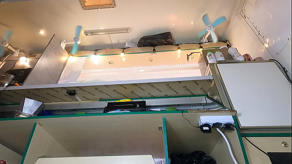 Stupid and attractive girl upskirted at work pov voyeur camera