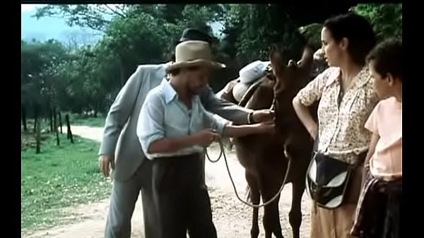 Tapete Vermelho sexo e prolapso