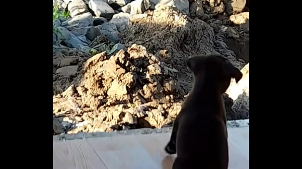 Video x&aacute_c minh