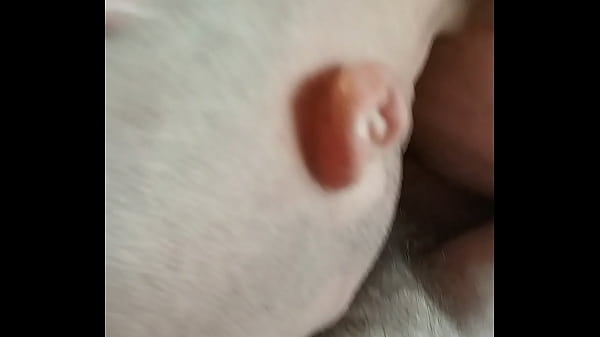 Play MP4 - the neighbour returns