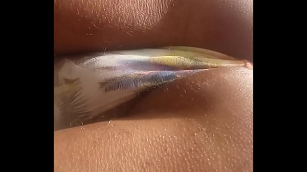 Cuceta Fogosa... thumbnail