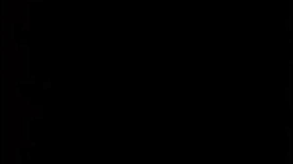 Amber Michaels - Anal sex 