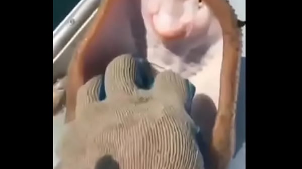 A raia mais feliz do mundo 