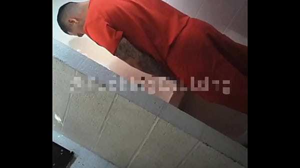 Mrbumbumbrasil thumbnail