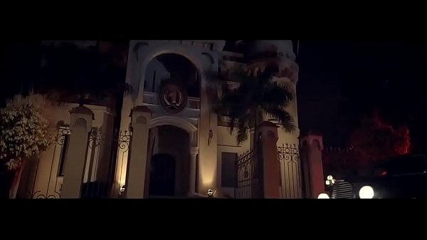 فيديو التحقق 