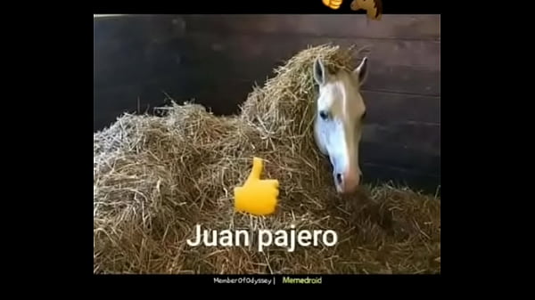 Todo un capo 