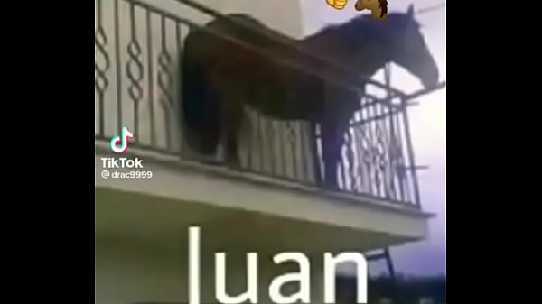 Nonton Todo Un Capo thumbnail