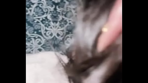 Play MP4 - Verification video