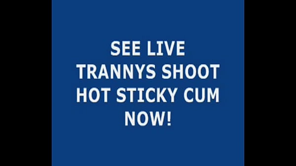 Live Tranny Cum 24
