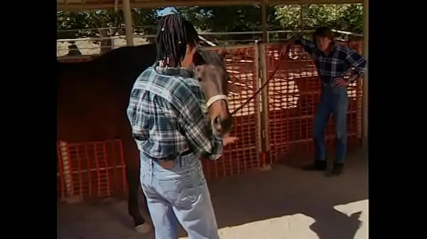 Play MP4 - Pretty brunette gets her asshole fucked doggystyle outdoors