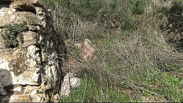 Cheating Italian Cuckold Wife Lets Stranger Fuck Her Asshole Outdoor thumbnail