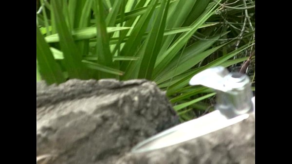 Play MP4 - Kelley Shows off her Big Tits at public park