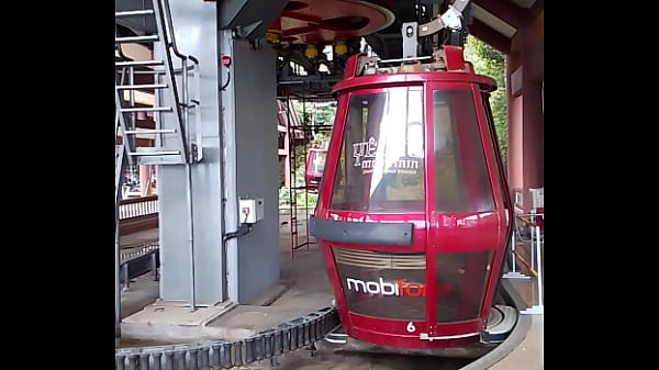 Video x&aacute;c minh 