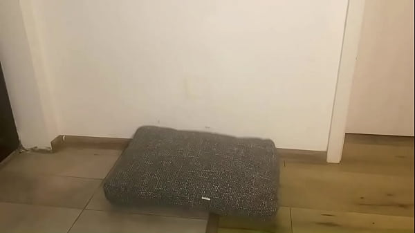 Preview 24 adventures of milfycalla ep24 a lonly daymilfycalla was a woman who lived alone in a small apartment in the he 