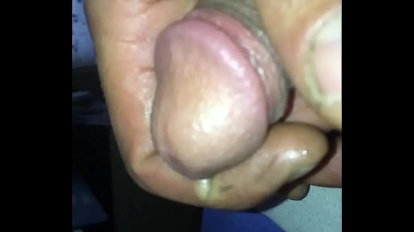 pisilek lass&iacute_tva