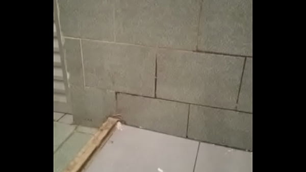 V&iacute_deo de verifica&ccedil_&atilde_o