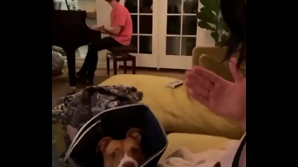 billie eilish ense&ntilde_a las tetas en su instagram story