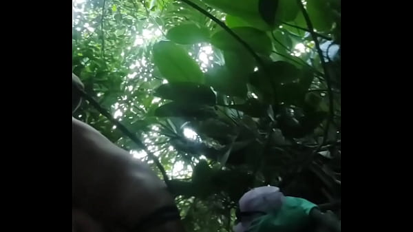 Mrbumbumbrasil thumbnail