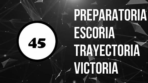 Mejores bases de
