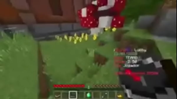 TOP SERVIDOR PARAMCPE 0_15 10 FERA 10