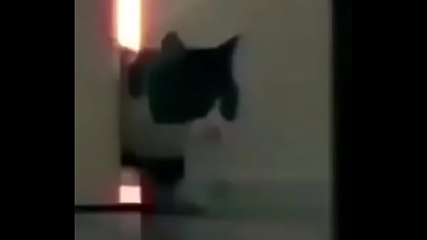 Bbc pussy