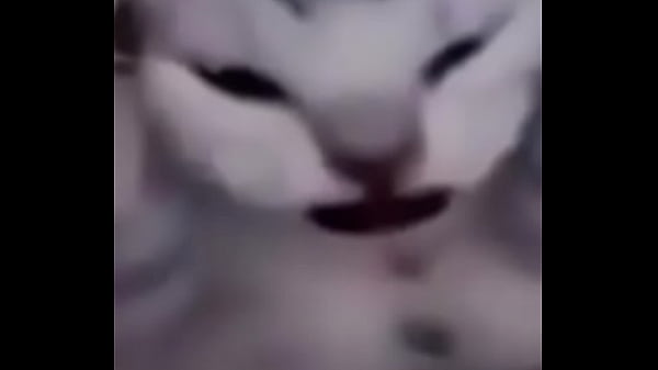 Primeiro video do canal shitpost