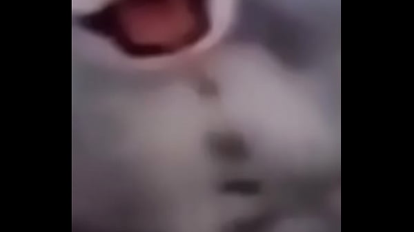 Primeiro video do canal shitpost 