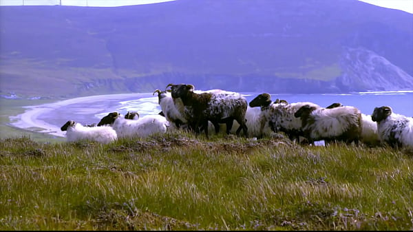 Edenism originator bill freeland