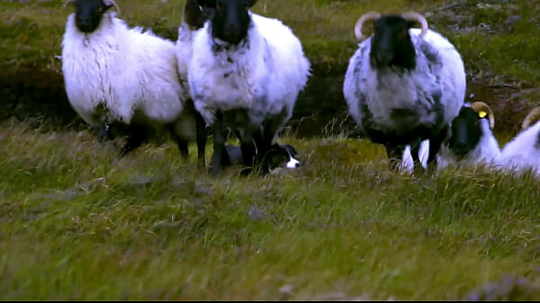 Edenism originator bill freeland 