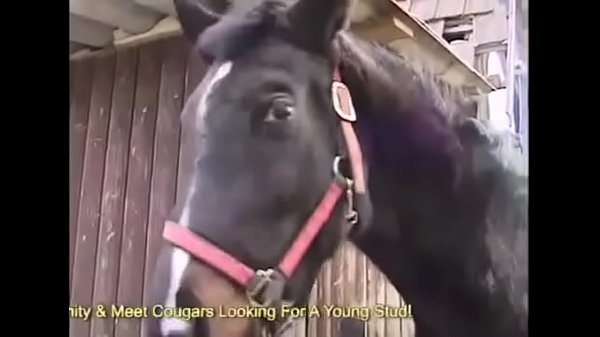 Cougar with perfect booty gets ass fucked outdoors